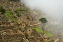 Macchu Picchu_0784
